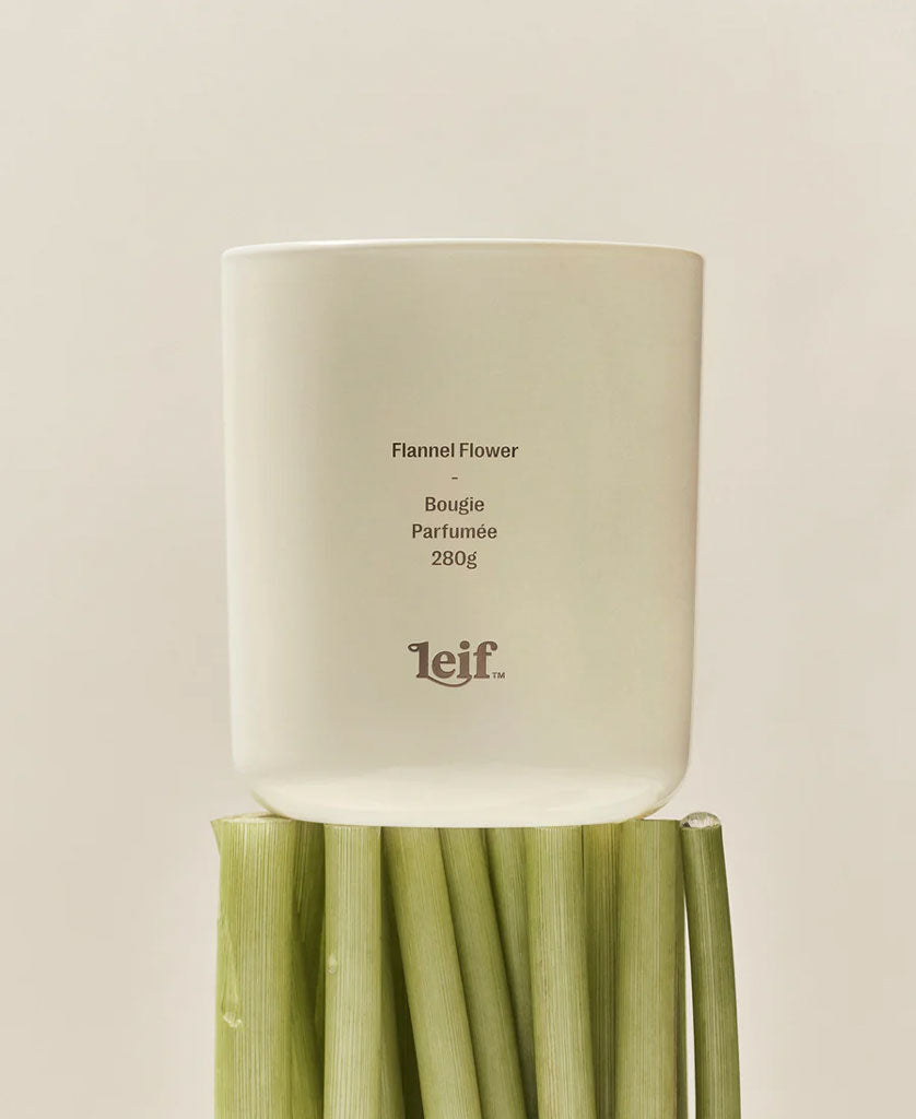Leif Flannel Flower Candle Luxury Scent at colleen
