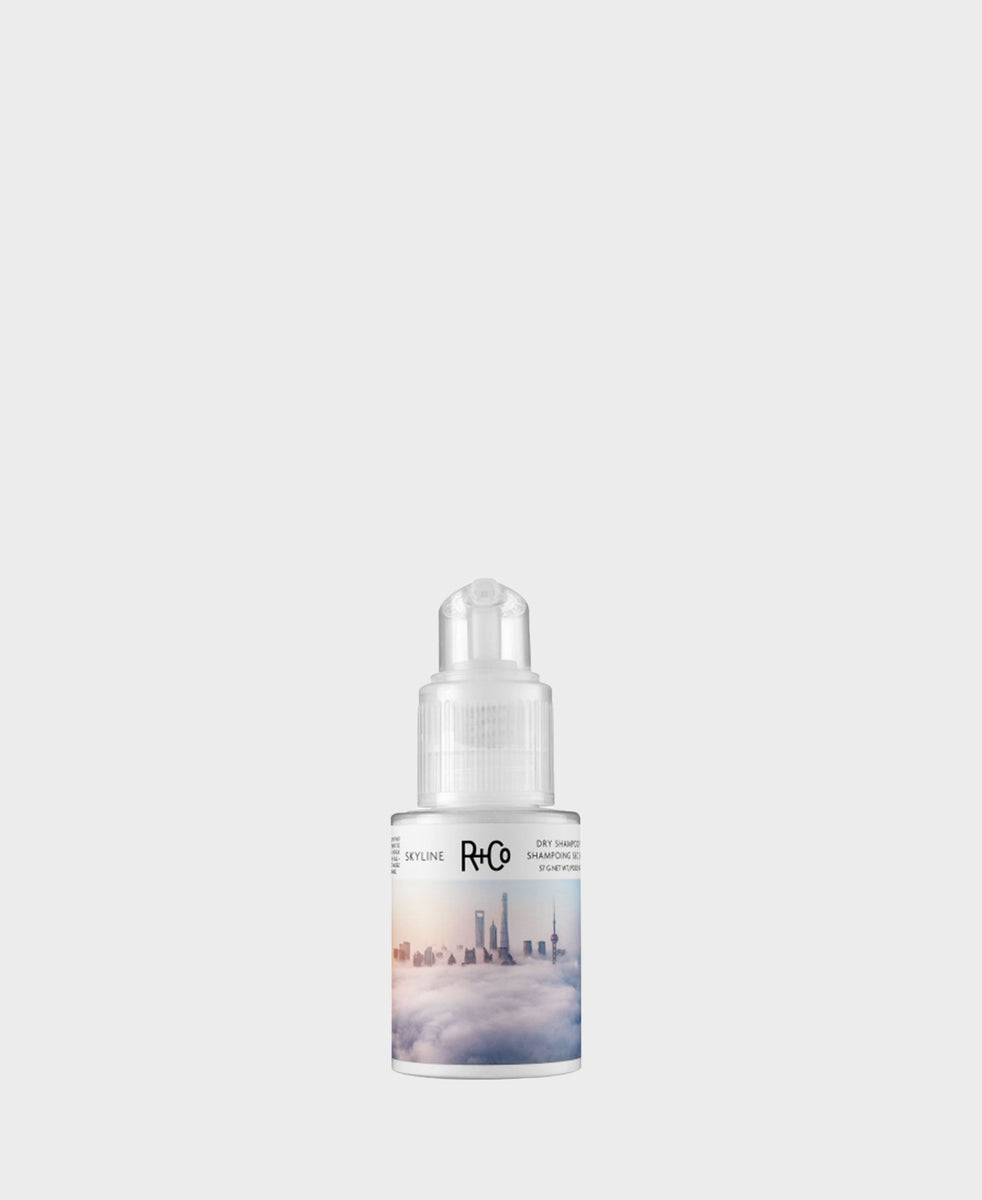 R+Co Skyline Dry Shampoo Powder Haircare Online at colleen.nz